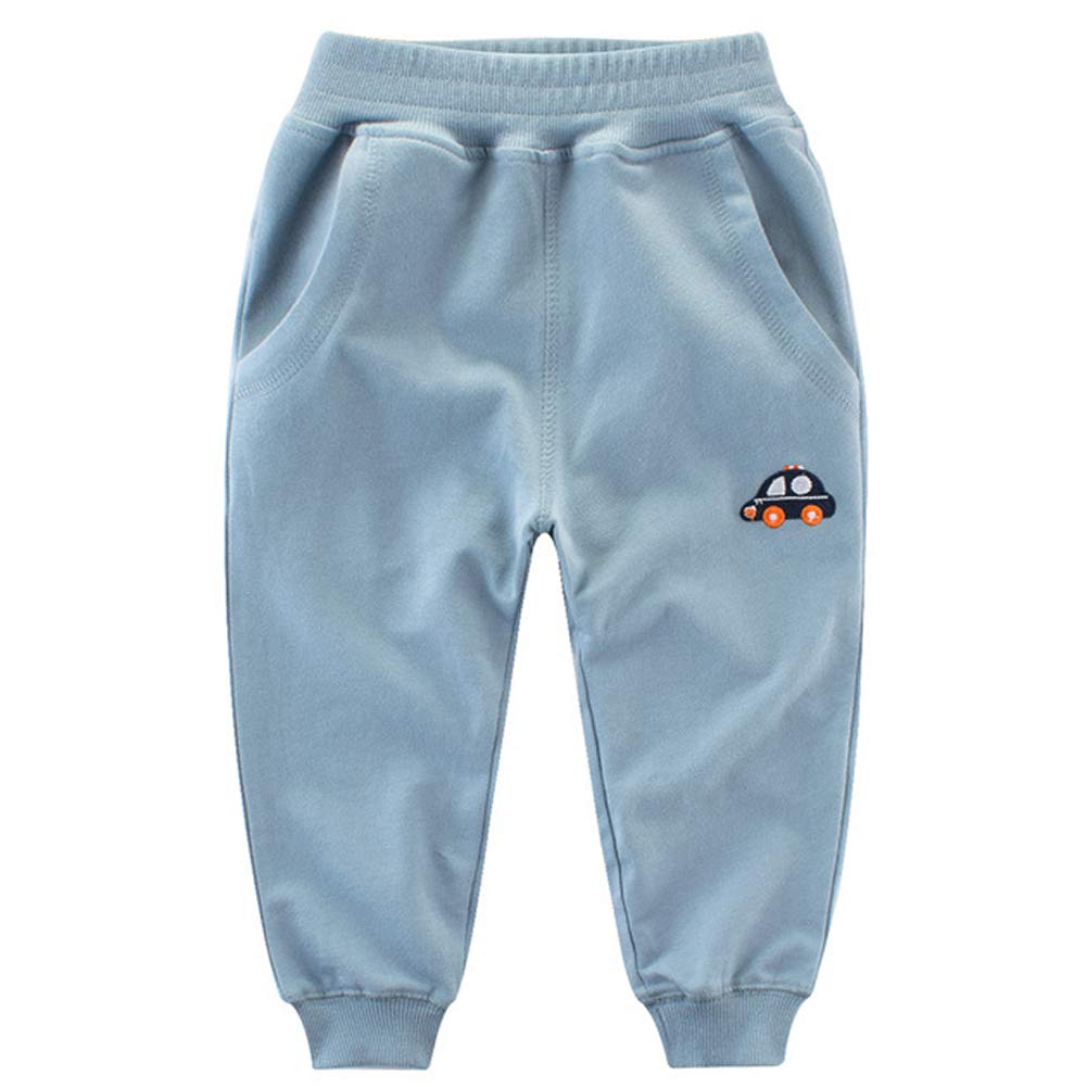 Stylish Solid Embroidered Car Pants, zoerea.com