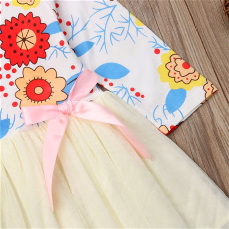 Toddler Kids Baby Girls Princess Flower Long Sleeve Tulle Dress, zoerea.com