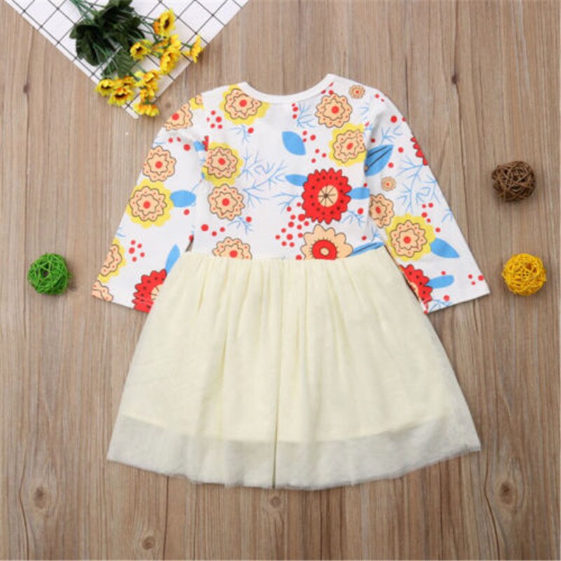 Toddler Kids Baby Girls Princess Flower Long Sleeve Tulle Dress, zoerea.com