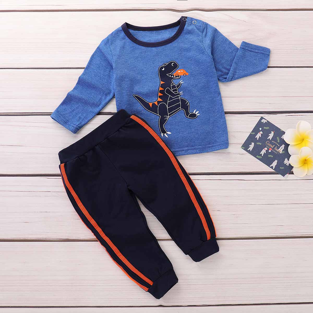 2-piece Trendy Dinosaur Pattern Top And Pants Set, zoerea.com