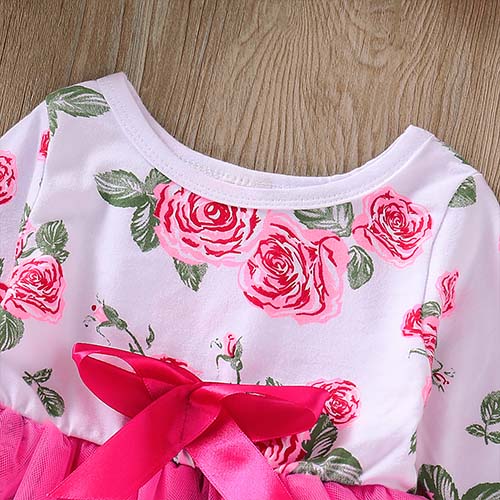 Baby Girl Long-sleeve Floral Mesh Bodysuit, zoerea.com