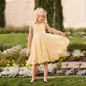 Baby Girls Lace Floral Sleeveless Princess  Gown Formal Party Dress, zoerea.com