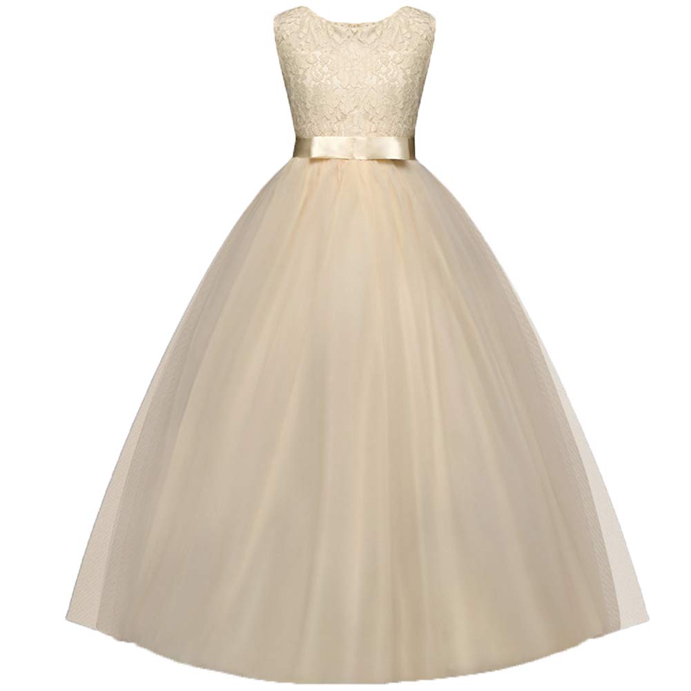 Elegant Lace Sleeveless A-Line Dress, zoerea.com