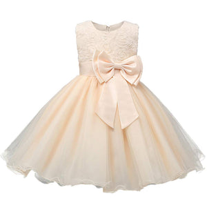 Flowers Appliques Lace Bowknot Princess Girl Dress, zoerea.com