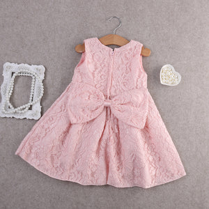 Baby Girl Lace Flower Pageant Bridesmaid Party Formal Princess Dress, zoerea.com