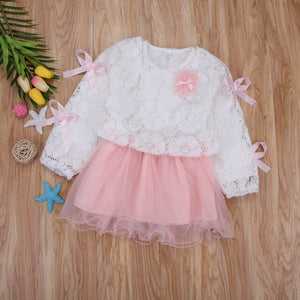 Kids Baby Girls Lace Flower Pageant Wedding Party Princess Tutu Dress, zoerea.com