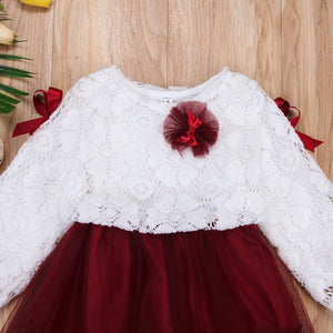 Kids Baby Girls Lace Flower Pageant Wedding Party Princess Tutu Dress, zoerea.com