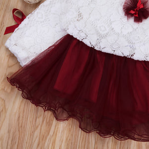 Kids Baby Girls Lace Flower Pageant Wedding Party Princess Tutu Dress, zoerea.com