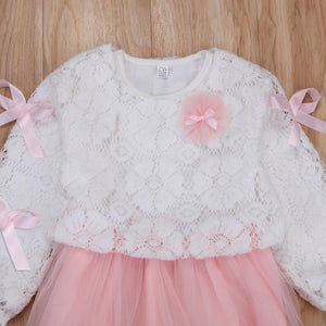 Kids Baby Girls Lace Flower Pageant Wedding Party Princess Tutu Dress, zoerea.com