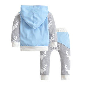 2-piece Casual Long-sleeve Hooded And Pants Set, zoerea.com